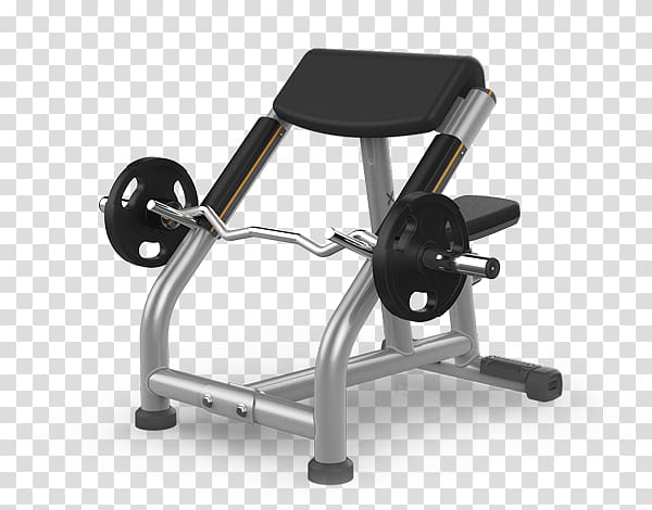 Bench Biceps curl Leg curl Exercise equipment Fitness Centre, gym  equipments transparent background PNG clipart
