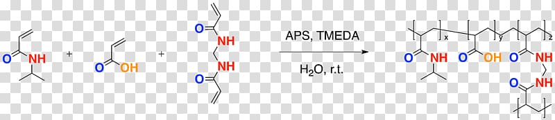 Poly(N-isopropylacrylamide) Polymerization Tetramethylethylenediamine Ammonium persulfate, others transparent background PNG clipart