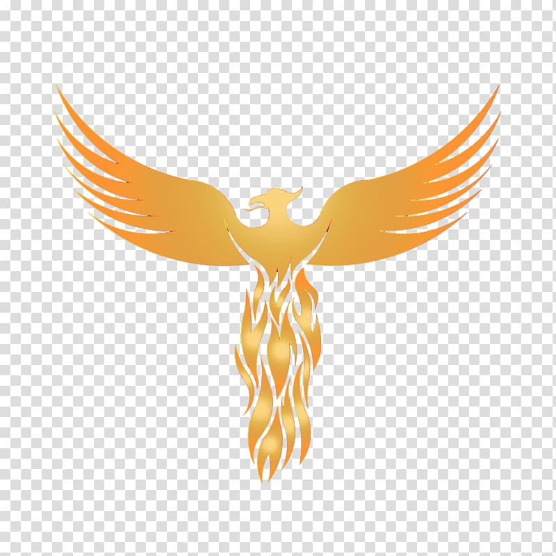 Orange phoenix animated illustration, Logo Phoenix Graphic design ...