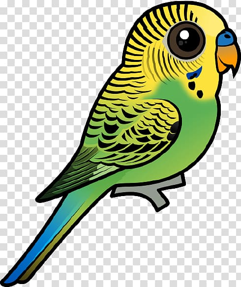 Budgerigar Bird Parrot Parakeet , Bird transparent background PNG clipart