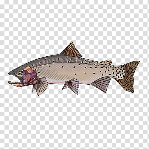 Lahontan cutthroat trout Lake Bonneville Bonneville cutthroat trout Rainbow trout, fish transparent background PNG clipart