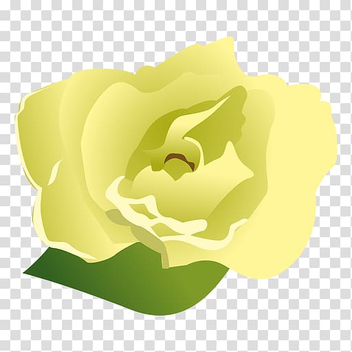 Cape jasmine Gardenia taitensis Rose, rose transparent background PNG clipart