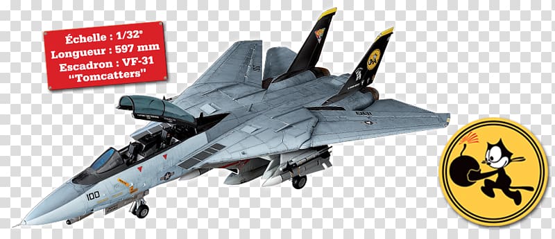 Grumman F-14 Tomcat Apache Tomcat Scale Models Hypertext Transfer Protocol, others transparent background PNG clipart