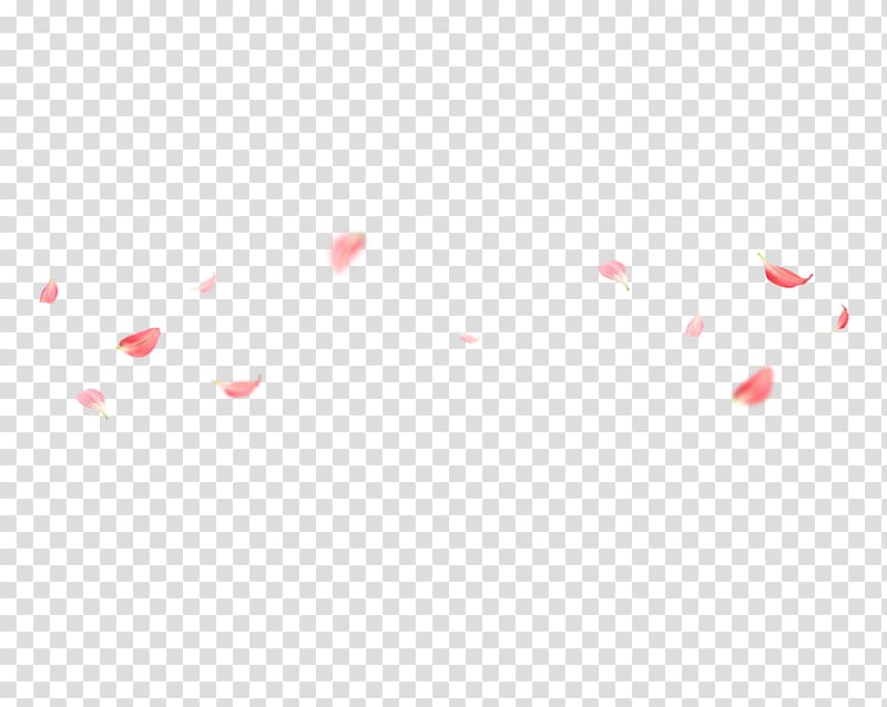 Square Angle Red Pattern, Pink petals falling transparent background PNG clipart