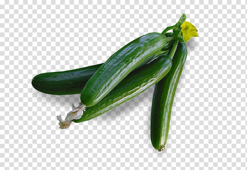 Serrano pepper Cucumber Jalapeño Pasilla Chili pepper, cucumber transparent background PNG clipart