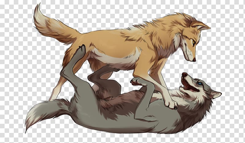 Gray wolf Drawing Alpha and Omega, Griffin transparent background PNG clipart