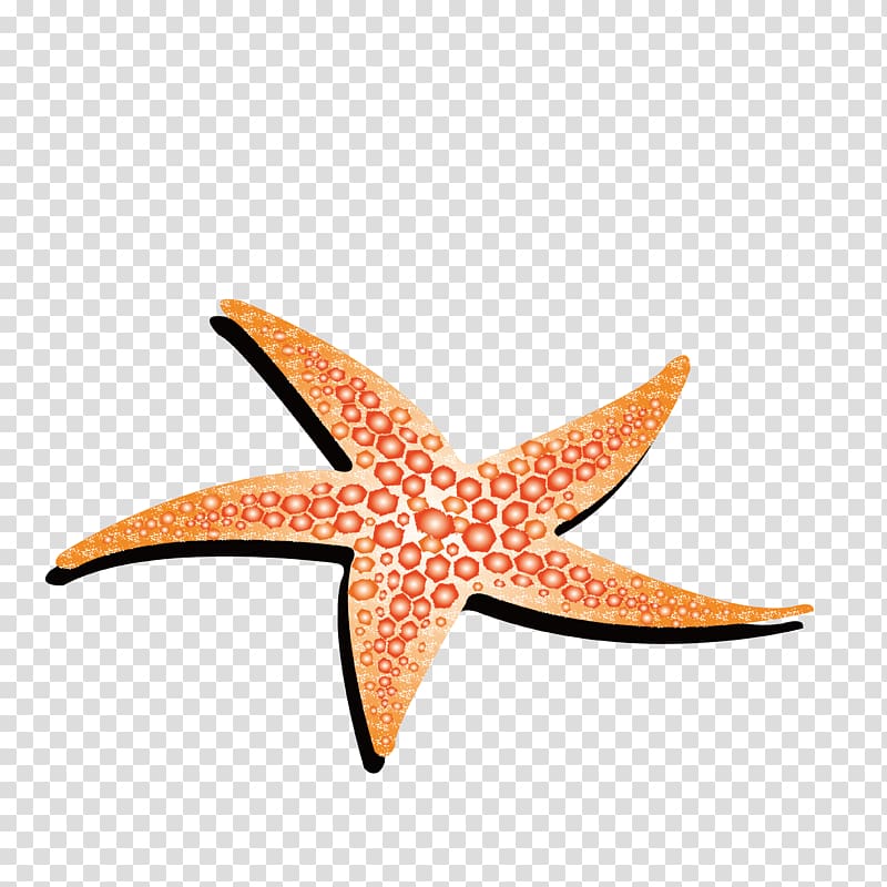 Starfish Animation, Yellow starfish transparent background PNG clipart