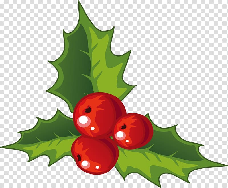 Holly Christmas decoration, Holly decorations for Christmas transparent background PNG clipart