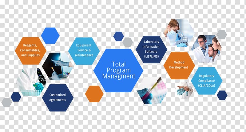 Program management Business Laboratory information management system Project management, Partnering Program transparent background PNG clipart