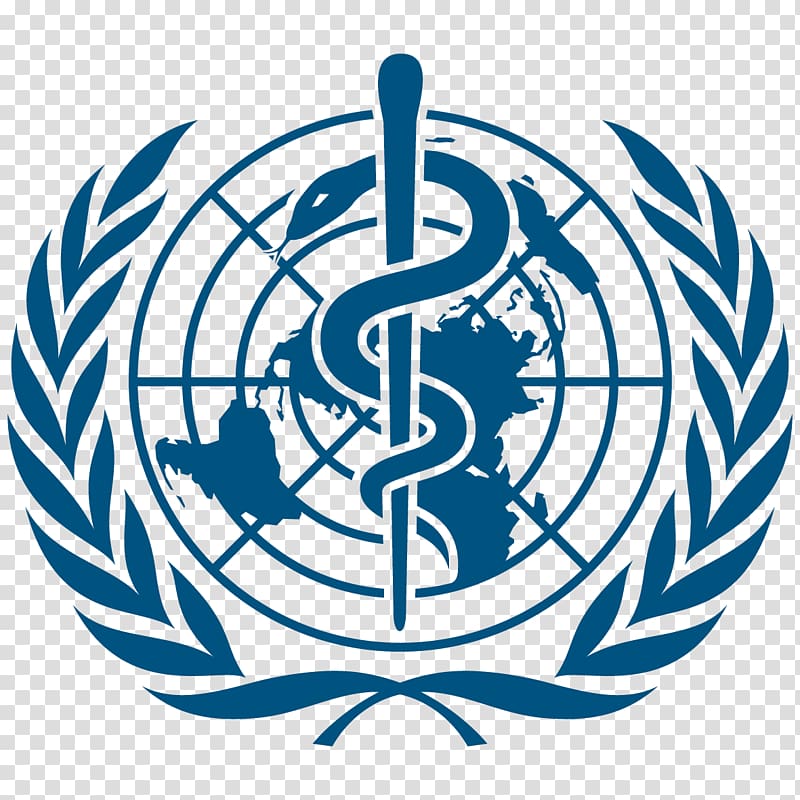 Model United Nations World Health Organization United Nations System, organization transparent background PNG clipart