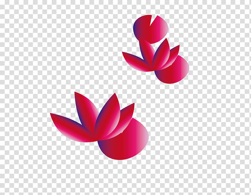 Designer, Lotus Creative transparent background PNG clipart