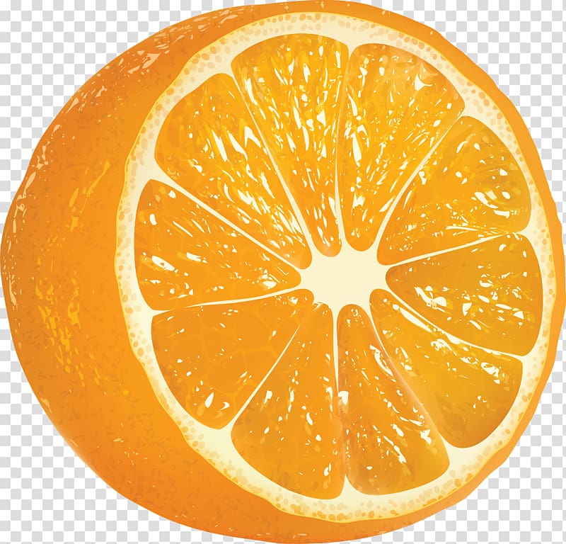 Juice Cocktail garnish Marmalade Orange, Orange , free transparent background PNG clipart