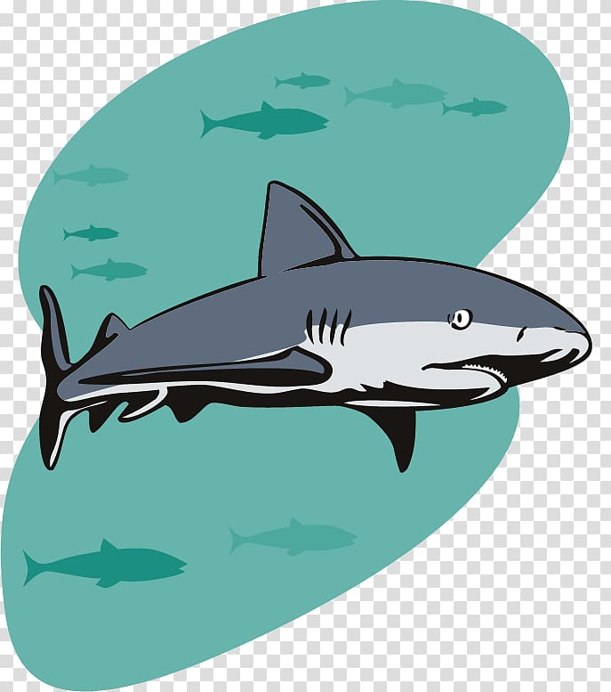 Shark Party Birthday Illustration, cartoon shark transparent background PNG clipart