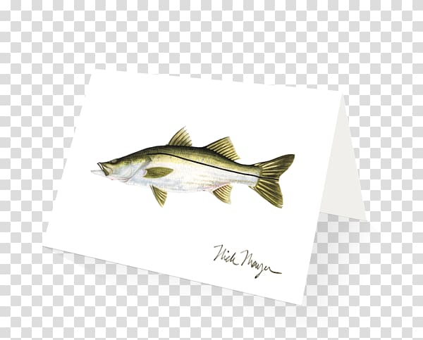 Fish .cf, mangrove swamp transparent background PNG clipart