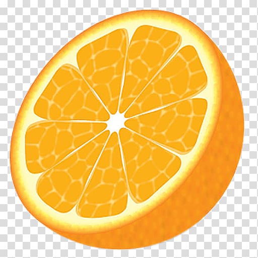 Orange slice , orange transparent background PNG clipart