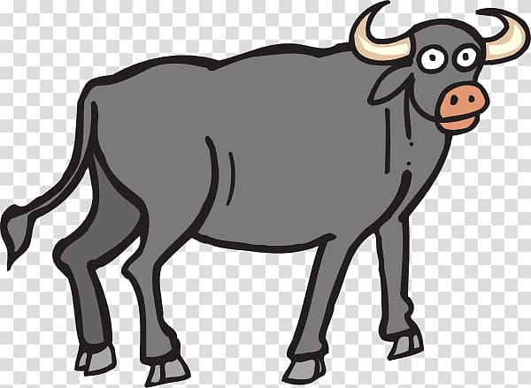 Water buffalo African buffalo , Girl Ox transparent background PNG clipart