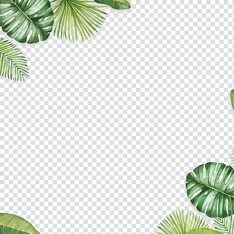 leaf background decoration material transparent background PNG clipart