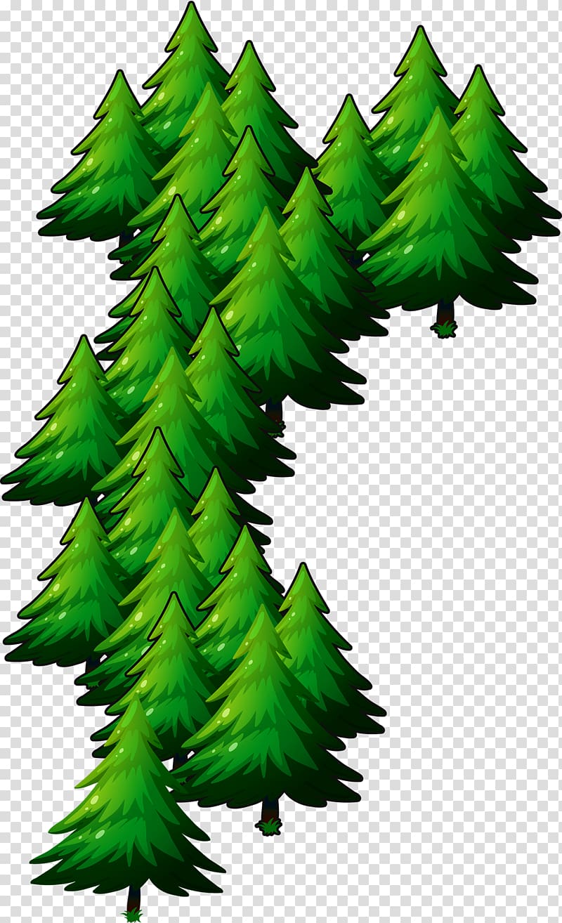 Christmas pine transparent background PNG clipart