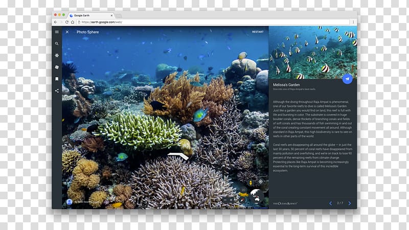 Coral reef Catlin Seaview Survey The Ocean Agency Marine biology, others transparent background PNG clipart