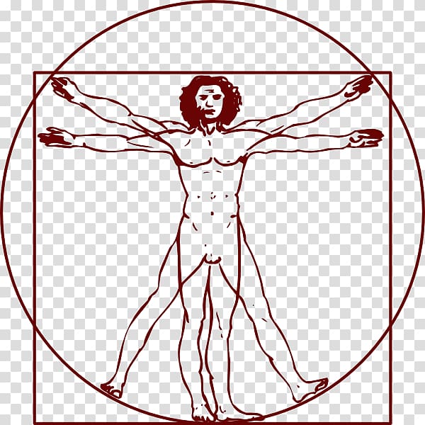 Vitruvian Man illustration, Vitruvian Man , anatomy transparent background PNG clipart