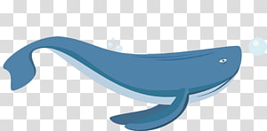 Furniture Marine mammal, A beluga whale transparent background PNG clipart thumbnail