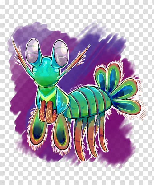 Insect Pollinator Legendary creature, insect transparent background PNG clipart