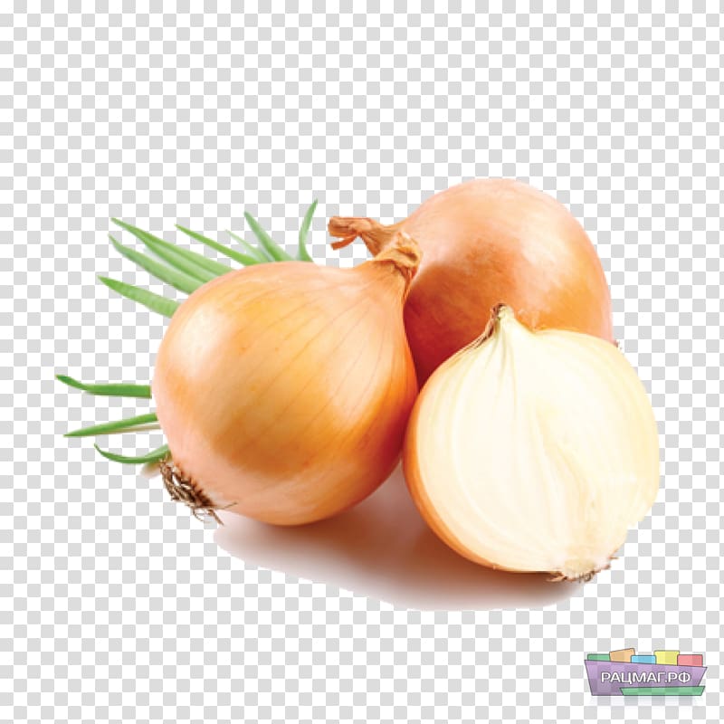 Allium fistulosum Garlic Chives Shallot Vegetable, garlic transparent background PNG clipart