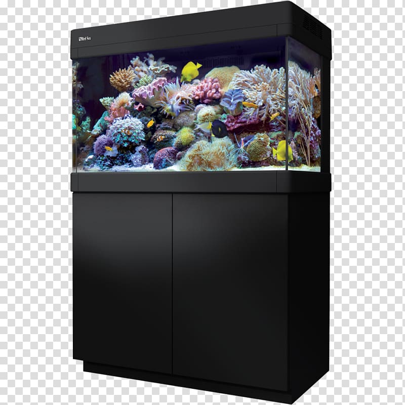 Red Sea Reef aquarium Aquariums Coral reef, Aquarium transparent background PNG clipart