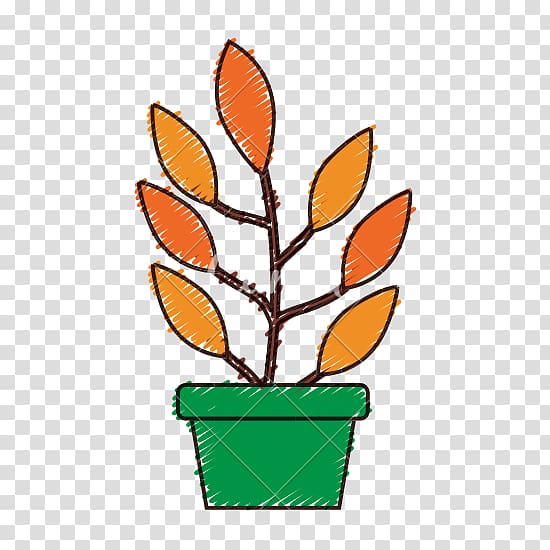 Food Plant Tree Leaf Flowerpot, Pot plant transparent background PNG clipart