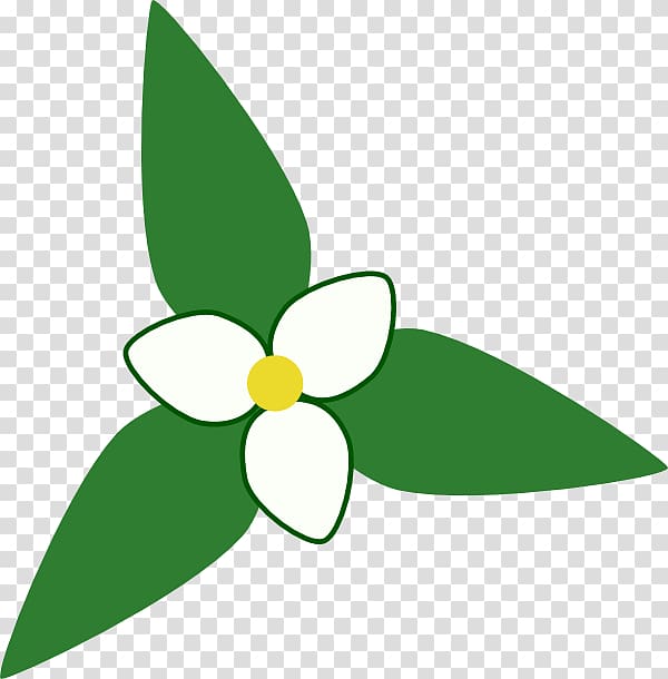 Great white trillium Scalable Graphics Drawing, transparent background PNG clipart