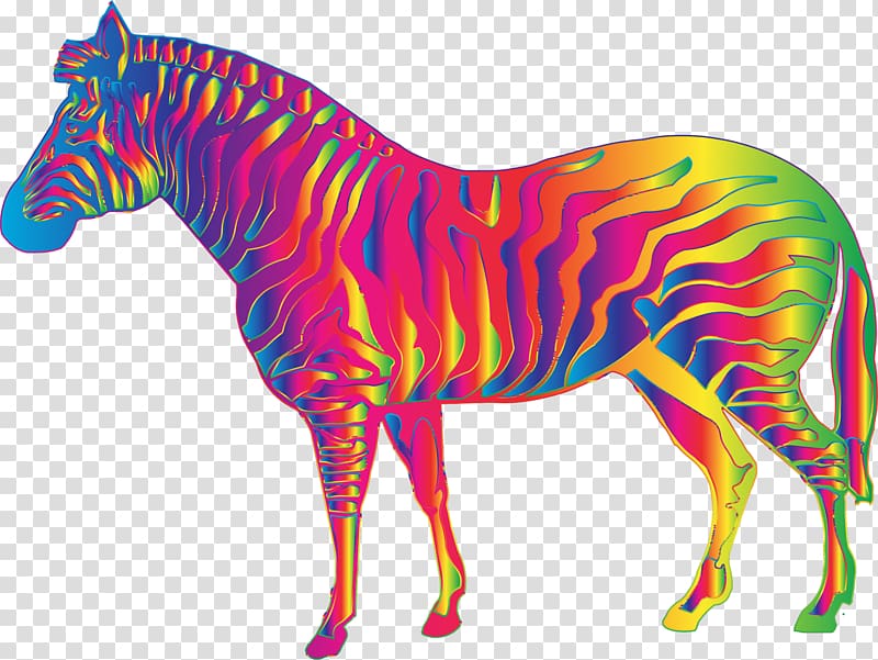 Mustang Quagga Mane Foal , zebra themed transparent background PNG clipart