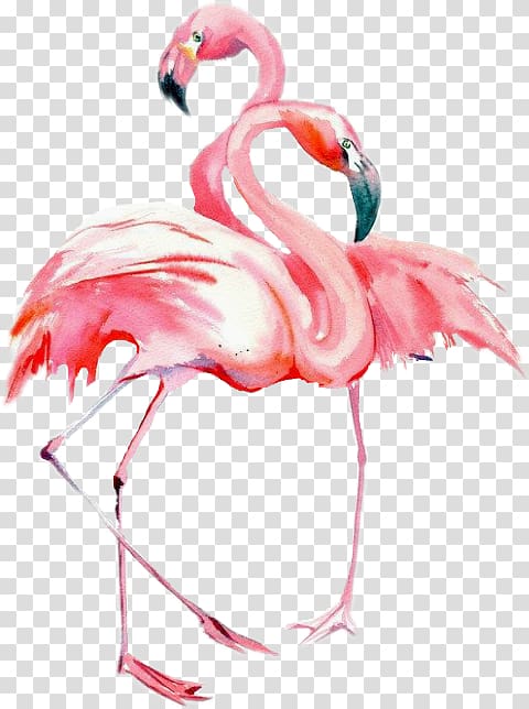 Bird Watercolor painting Drawing Flamingos, Bird transparent background PNG clipart