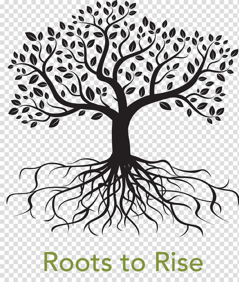 graphics Root Tree , tree transparent background PNG clipart