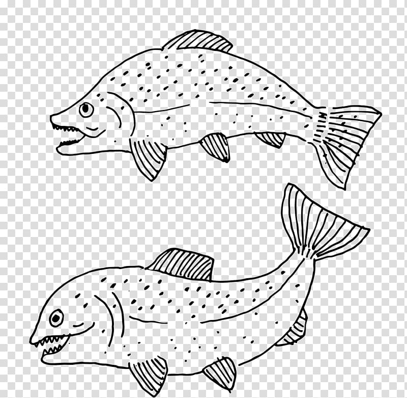 Fish Pen Black and white , Jane black pen cartoon fish transparent background PNG clipart