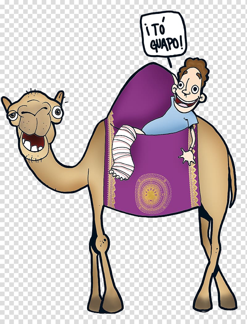 Dromedary Human behavior Homo sapiens , others transparent background PNG clipart