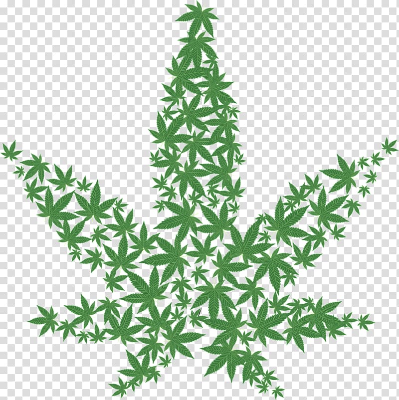 Cannabis sativa Cannabis Cup Skunk Medical cannabis, cannabis transparent background PNG clipart
