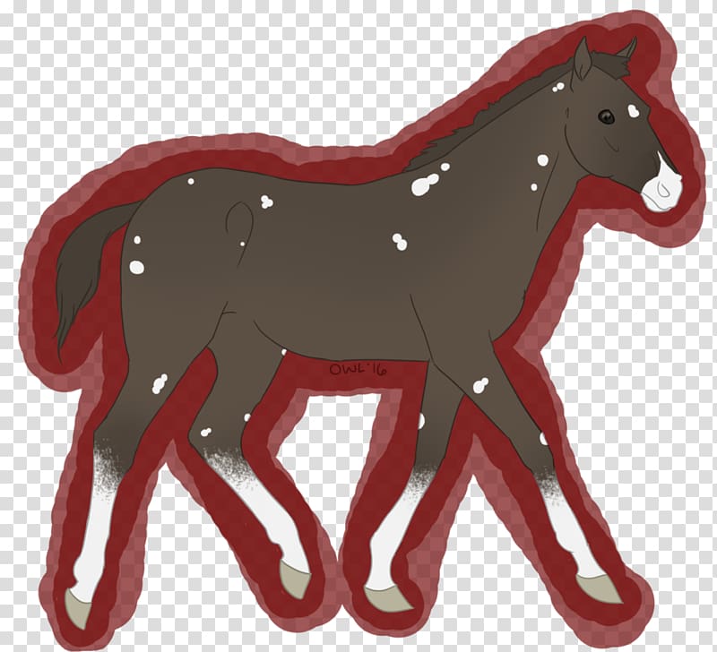 Mustang Foal Stallion Pony Colt, Bohemian Rhapsody transparent background PNG clipart