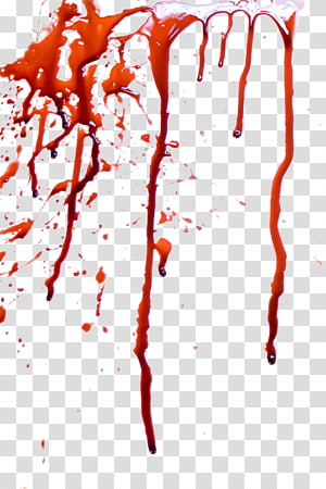 Blood Stains Red Blood Illustration Transparent Background Png Clipart Hiclipart