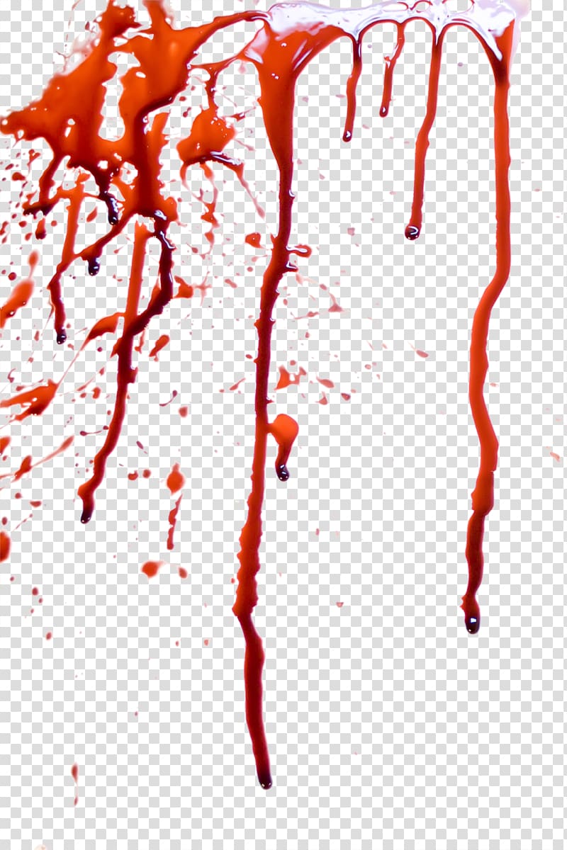 Fresh Blood Flowing Transparent Background Png Clipart Hiclipart - blood stain on your shirt roblox