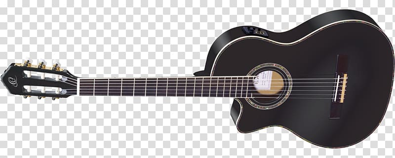 Twelve-string guitar Musical Instruments Acoustic-electric guitar Acoustic guitar, amancio ortega transparent background PNG clipart