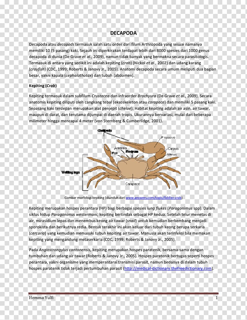 Fiddler crab Animal, crab transparent background PNG clipart