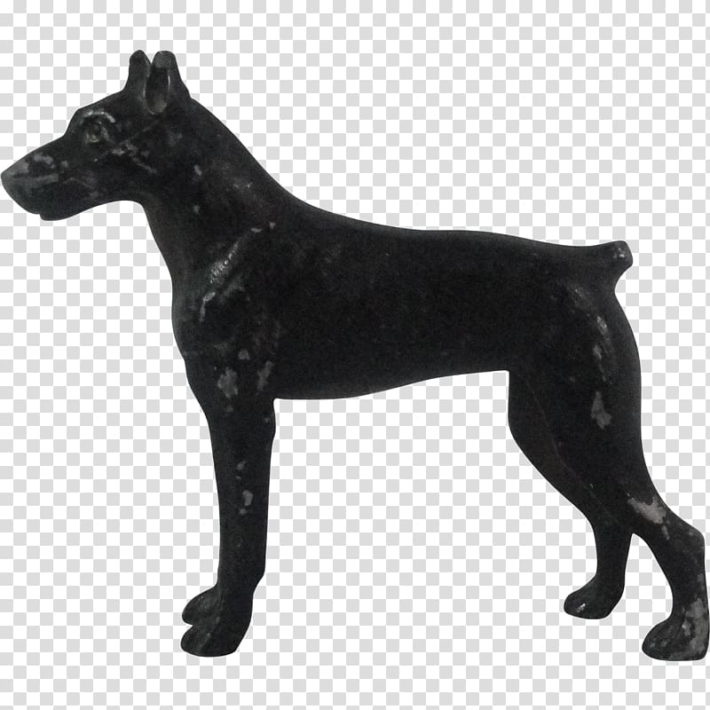 Miniature Schnauzer Giant Schnauzer Miniature Pinscher Pointer Standard Schnauzer, doberman transparent background PNG clipart