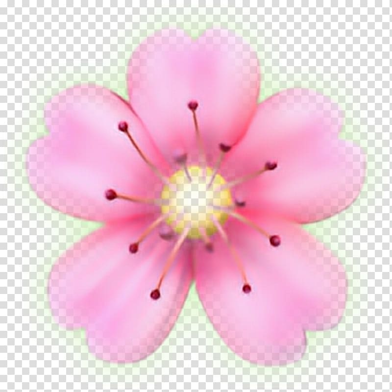 Flower Emoji Sticker Petal PicsArt Studio, flower transparent background PNG clipart