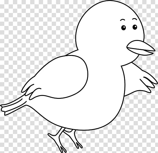 Bird Chicken Black and white Domestic pigeon , Flying Bird Outline transparent background PNG clipart