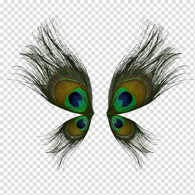 peacock feather, Bird Peafowl Feather Wing, Peacock wings transparent background PNG clipart
