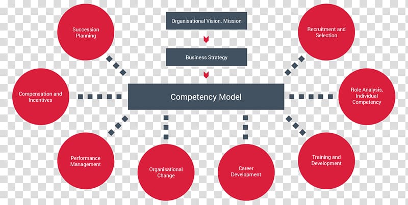 Competence Organization Competency-based learning Behavior Competency-based management, investment money transparent background PNG clipart