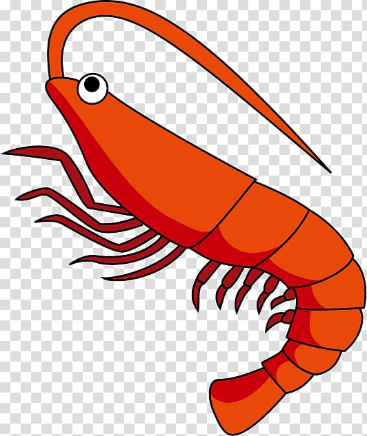 red shrimp illustration, Shrimp Free content , Shrimps transparent background PNG clipart
