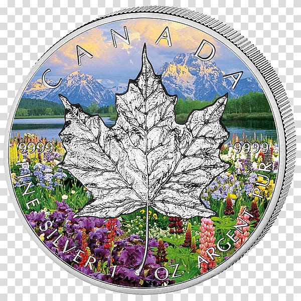 Mount Moran Hamburg Canadian Gold Maple Leaf Canada Season, Four seasons transparent background PNG clipart