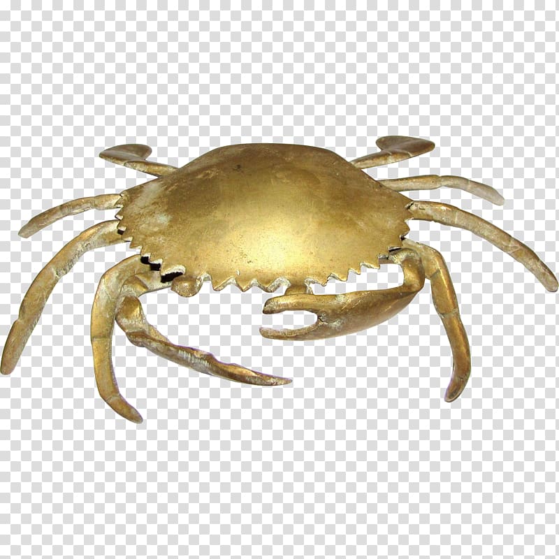 Freshwater crab Ashtray Decapoda Collectable, crab transparent background PNG clipart