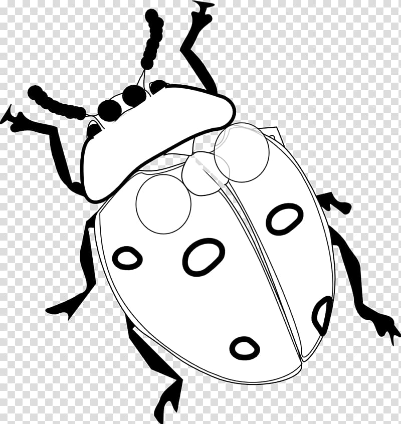 Ladybird beetle Coloring book , Ladybugs transparent background PNG clipart